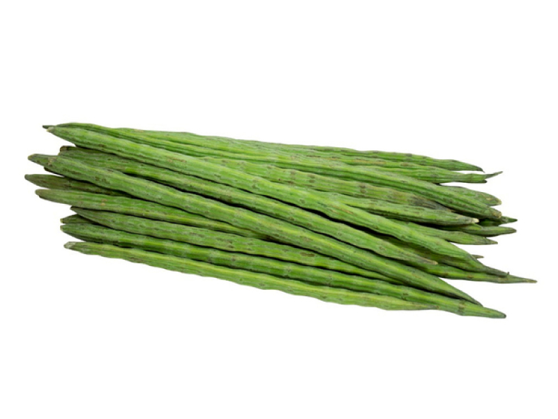 Palo de Tambor