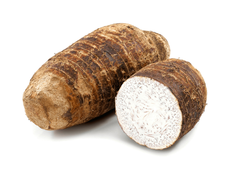 Tubérculo