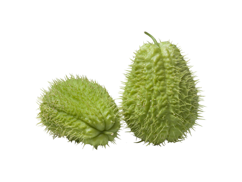 Chayote con Espinas